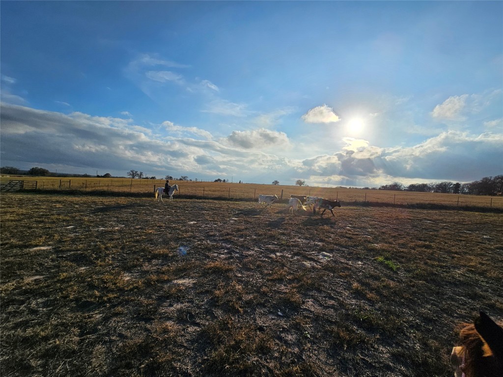 126 Abel Lane Elgin, TX 78621 - Photo 23 of 39