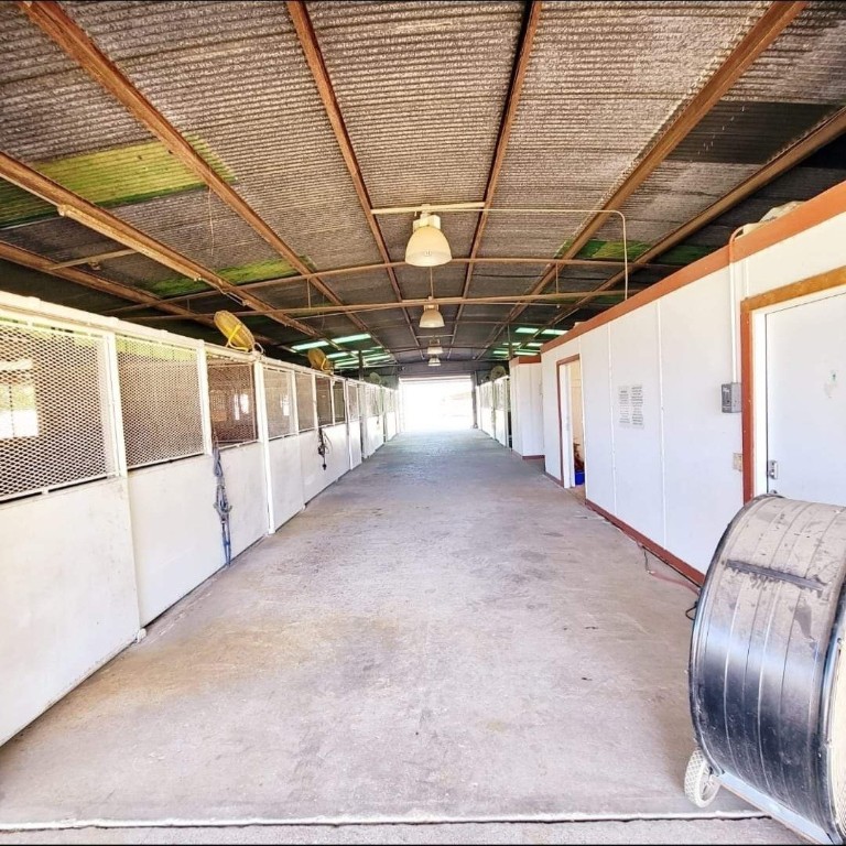 126 Abel Lane Elgin, TX 78621 - Photo 34 of 39