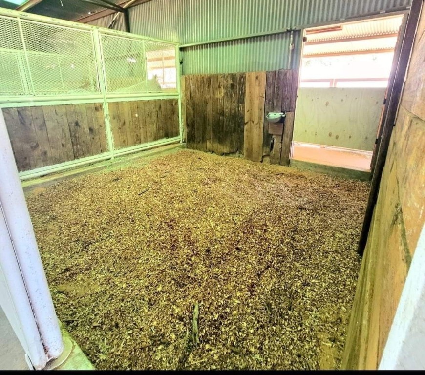 126 Abel Lane Elgin, TX 78621 - Photo 35 of 39