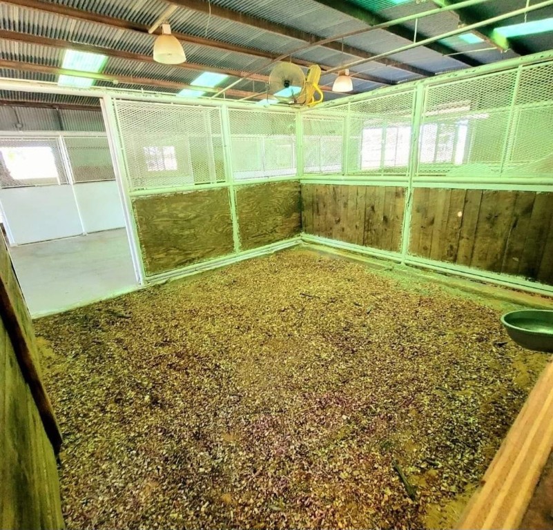 126 Abel Lane Elgin, TX 78621 - Photo 36 of 39