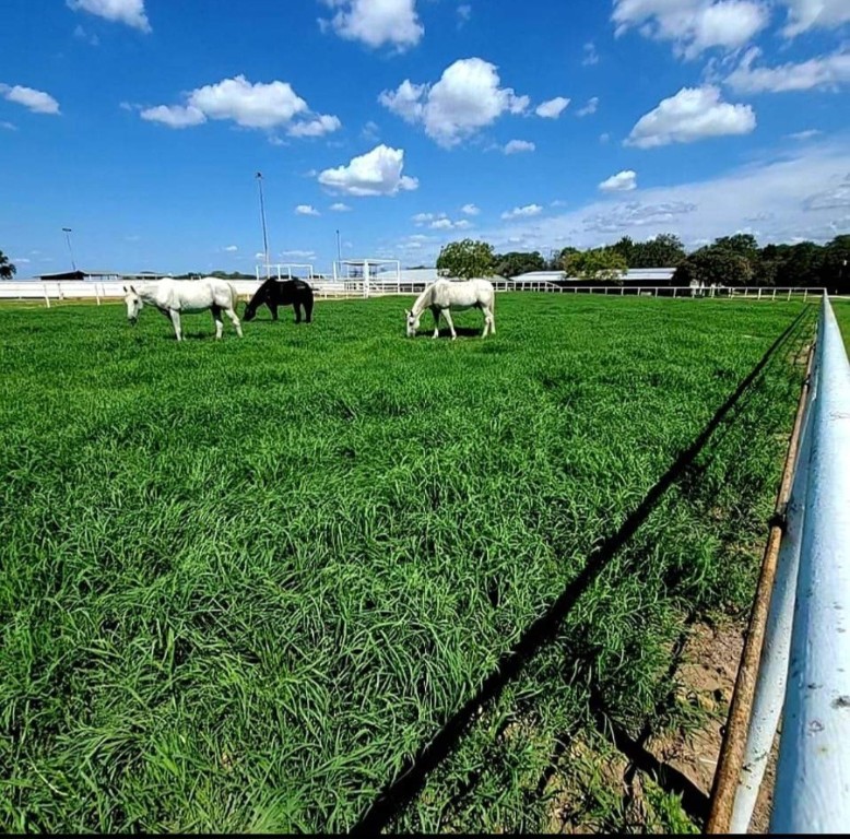 126 Abel Lane Elgin, TX 78621 - Photo 38 of 39