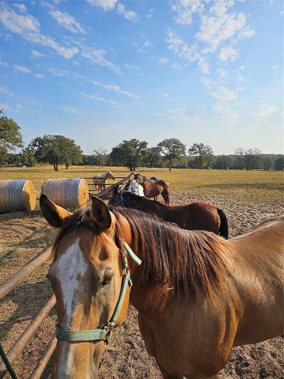 126 Abel Lane Elgin, TX 78621 - Photo 5 of 39