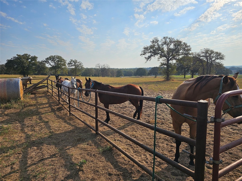 126 Abel Lane Elgin, TX 78621 - Photo 6 of 39