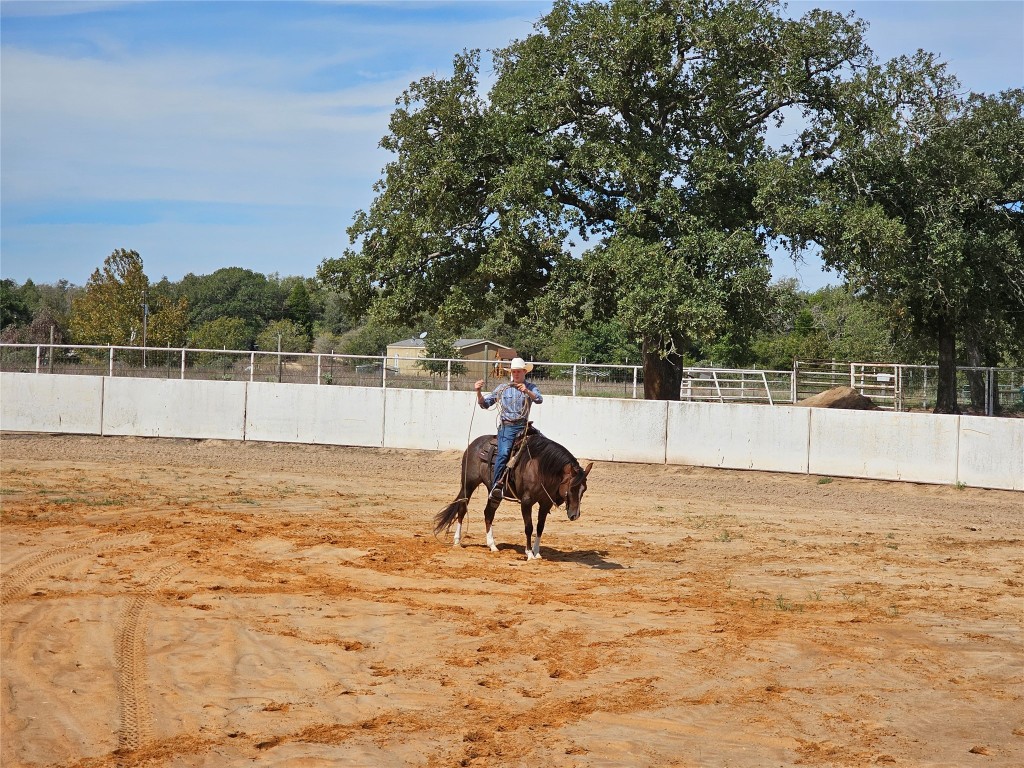 126 Abel Lane Elgin, TX 78621 - Photo 10 of 39