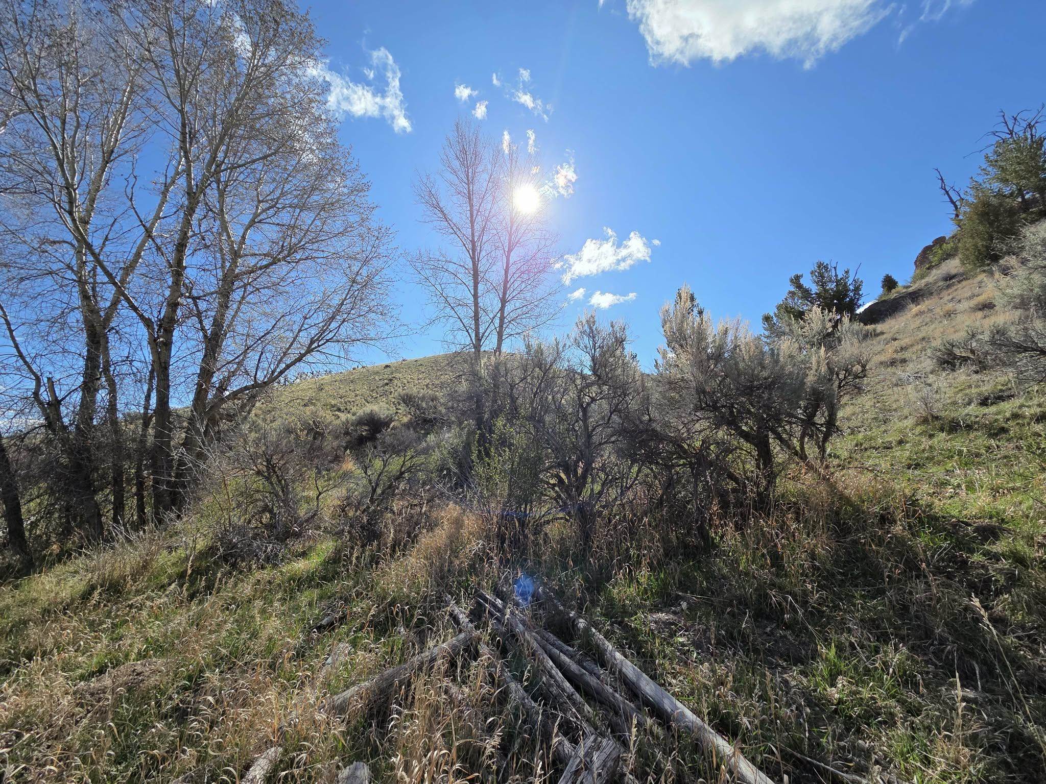 183 Bald Mountain Road Dubois, WY 82513 - Photo 46 of 48