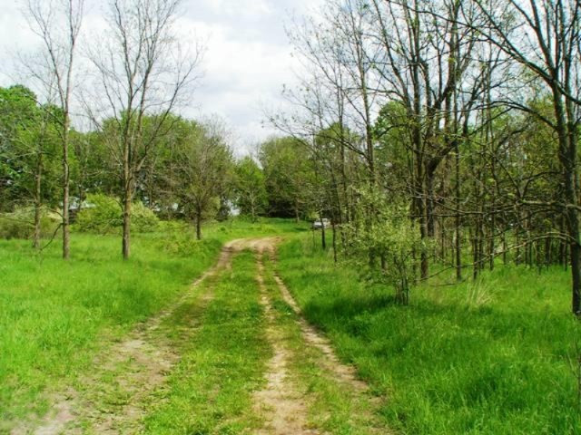 4315 Sayles Road Ionia, MI 48846 - Photo 3 of 10 PICT0010