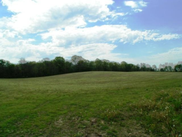 4315 Sayles Road Ionia, MI 48846 - Photo 5 of 10 PICT0020