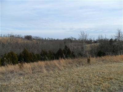 2220 Harris Ferry Road Irvine, KY 40336 - Photo 8 of 8 Photo 8