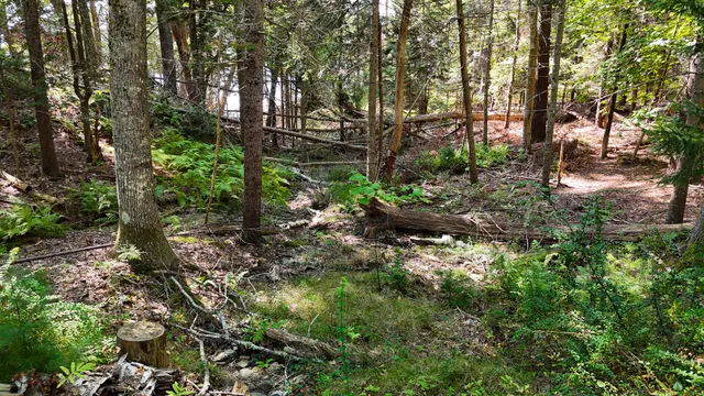 $195,000 | 1 A Winnegance Lane, West Bath, ME 04530