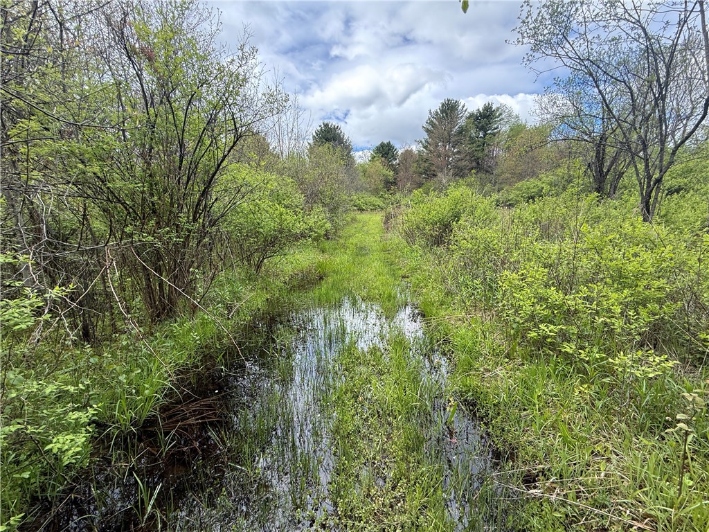 Caswell Road Freeville, NY 13068 - Photo 12 of 47