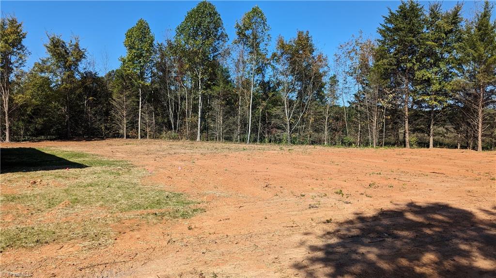 98 Whitestone Court Ruffin, NC 27326 - Photo 27 of 28 Gallery Image 27