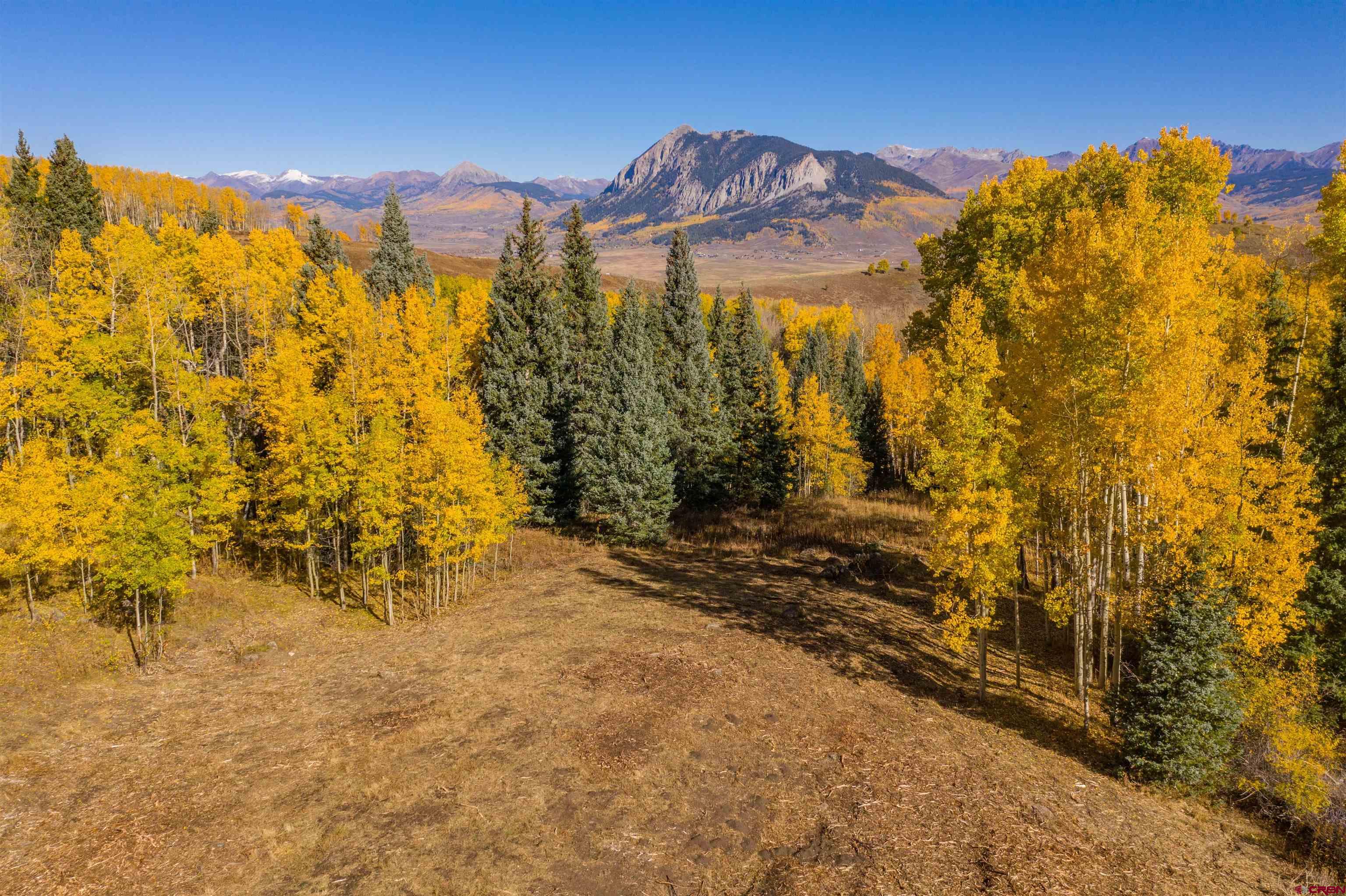 794 Red Mountain Ranch Road Crested Butte, CO 81224 - Photo 14 of 35 Gallery Image 14