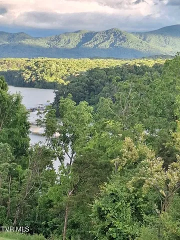 $3,500,000 | 260 Highway 113, White Pine, TN 37890