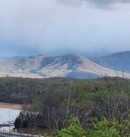 $3,500,000 | 260 Highway 113, White Pine, TN 37890