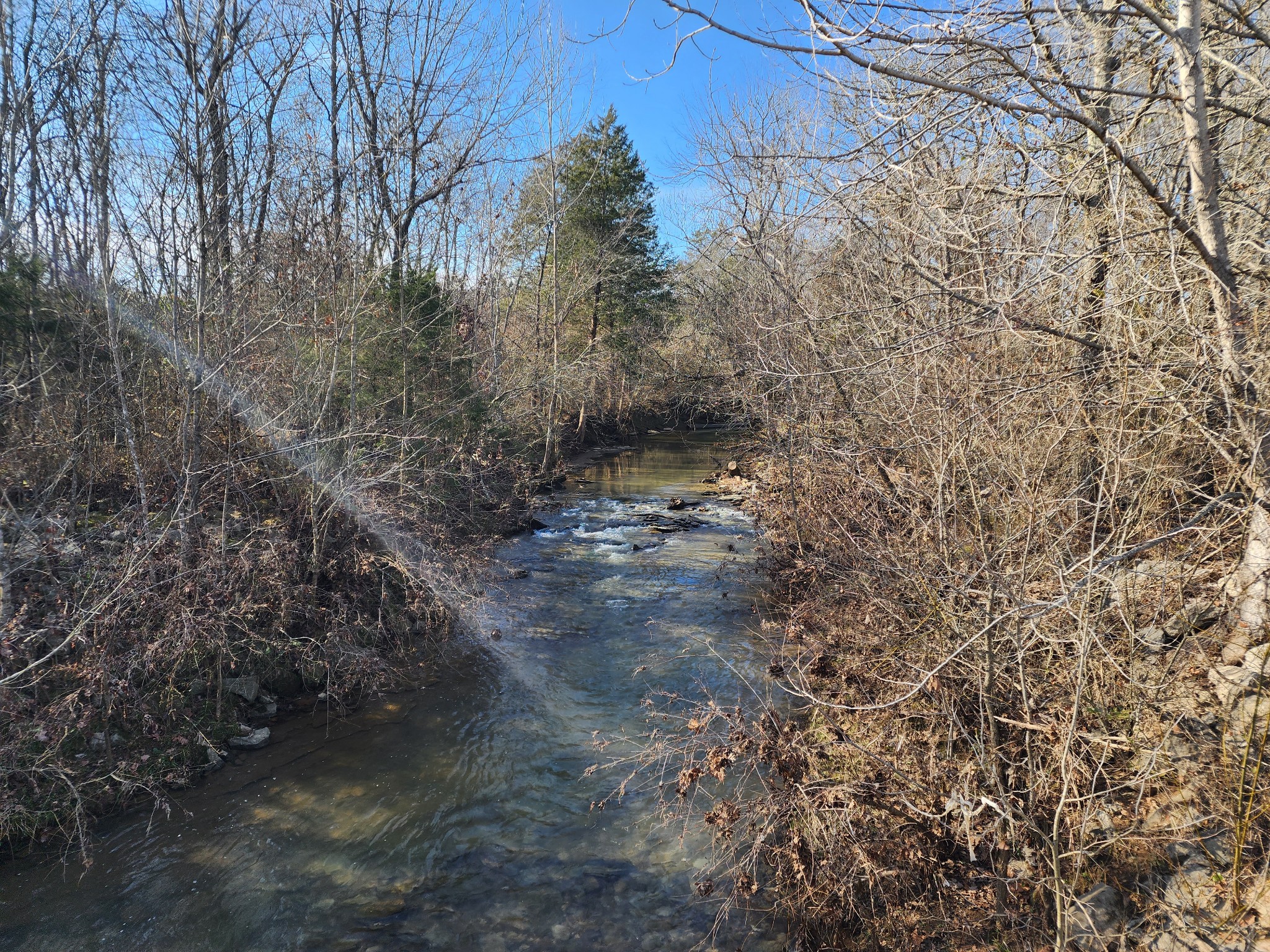 0 Joe Brown Road Spring Hill, TN 37174 - Photo 1 of 15 a view of a forest with trees in the background