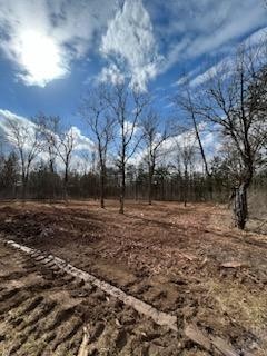 0 Joe Brown Road Spring Hill, TN 37174 - Photo 12 of 15 a view of a yard