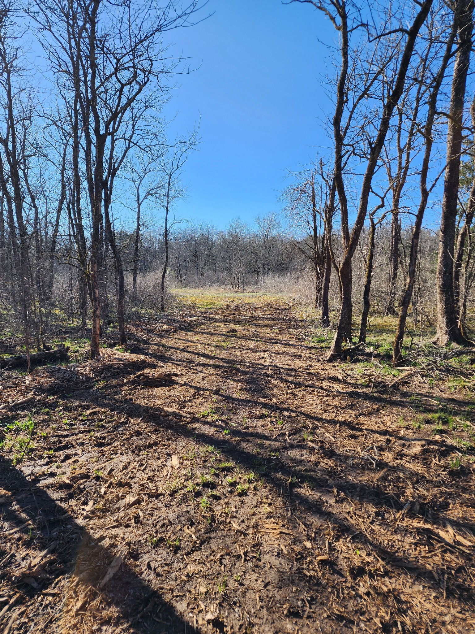 0 Joe Brown Road Spring Hill, TN 37174 - Photo 13 of 15 a view of a backyard of the house