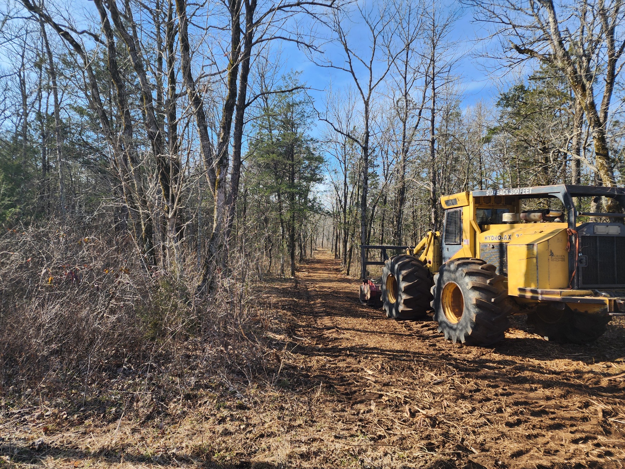 0 Joe Brown Road Spring Hill, TN 37174 - Photo 2 of 15 a view of a yard with large trees