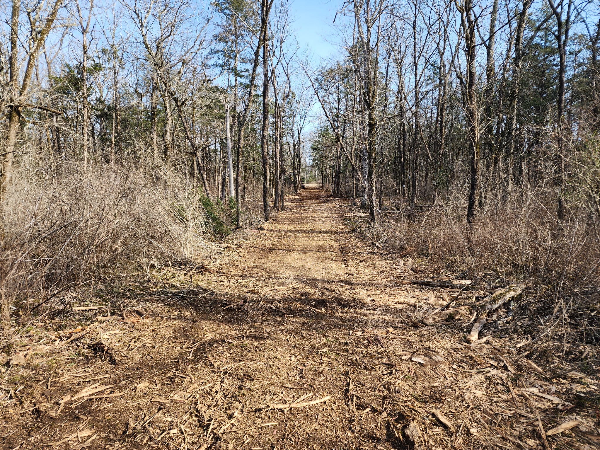 0 Joe Brown Road Spring Hill, TN 37174 - Photo 3 of 15 a view of a yard with trees