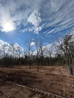 0 Joe Brown Road Spring Hill, TN 37174 - Photo 7 of 15 a view of a yard