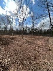 0 Joe Brown Road Spring Hill, TN 37174 - Photo 8 of 15 a view of lake with outdoor space