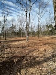 0 Joe Brown Road Spring Hill, TN 37174 - Photo 10 of 15 a backyard of apartments with large trees