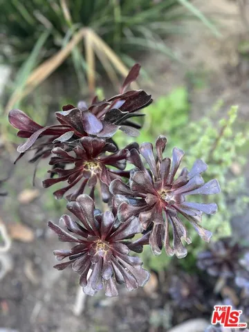 $859,000 | 2142 West 11th Street, Santa Ana, CA 92703