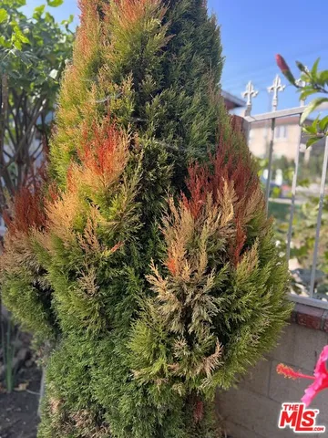 $859,000 | 2142 West 11th Street, Santa Ana, CA 92703