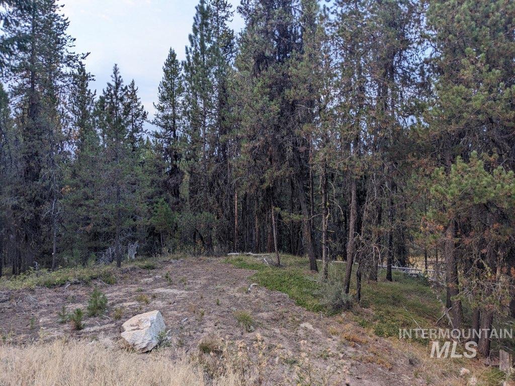 175 Pointes Road Cascade, ID 83611 - Photo 6 of 27 Gallery Image 6