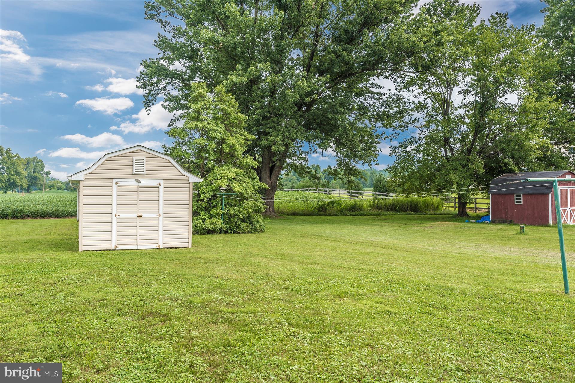 5910 Adamstown Road Adamstown, MD 21710 - Photo 17 of 28 Storage shed- and lots of greenery out back!