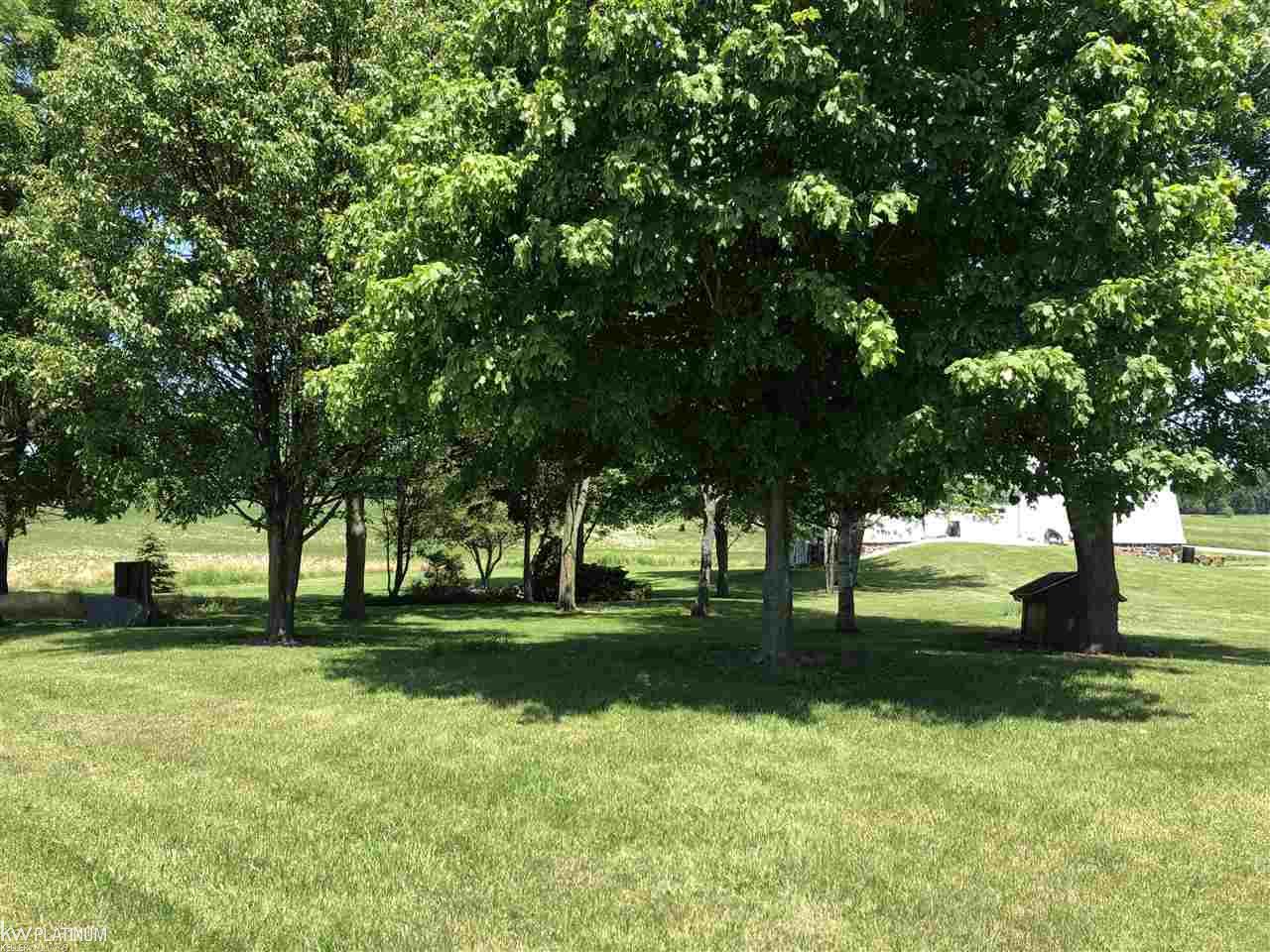 12546 Collins Road Yale, MI 48097 - Photo 64 of 71 50017132-87.JPG