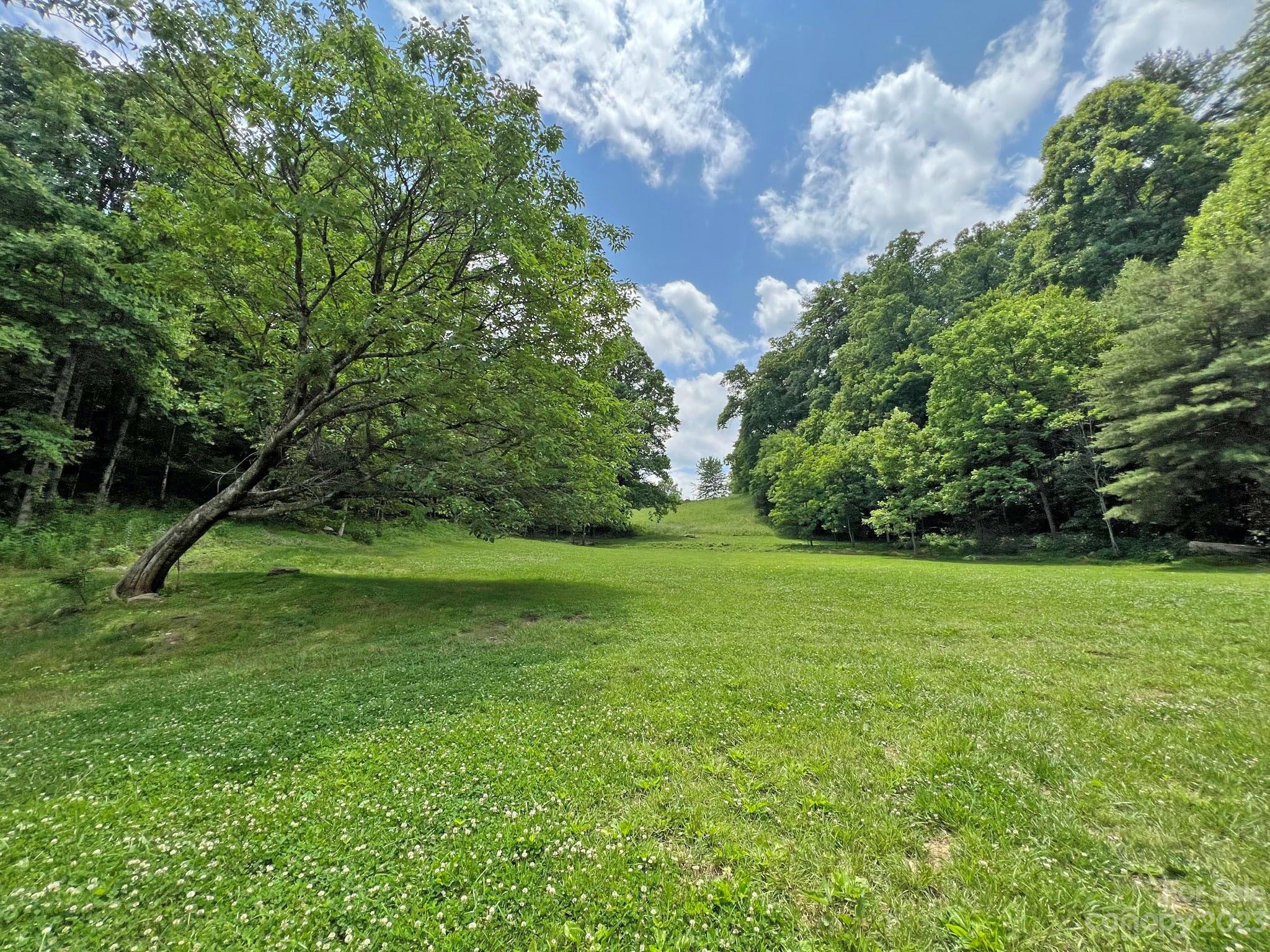 633 Millar Road Hot Springs, NC 28743 - Photo 9 of 48 Gallery Image 9
