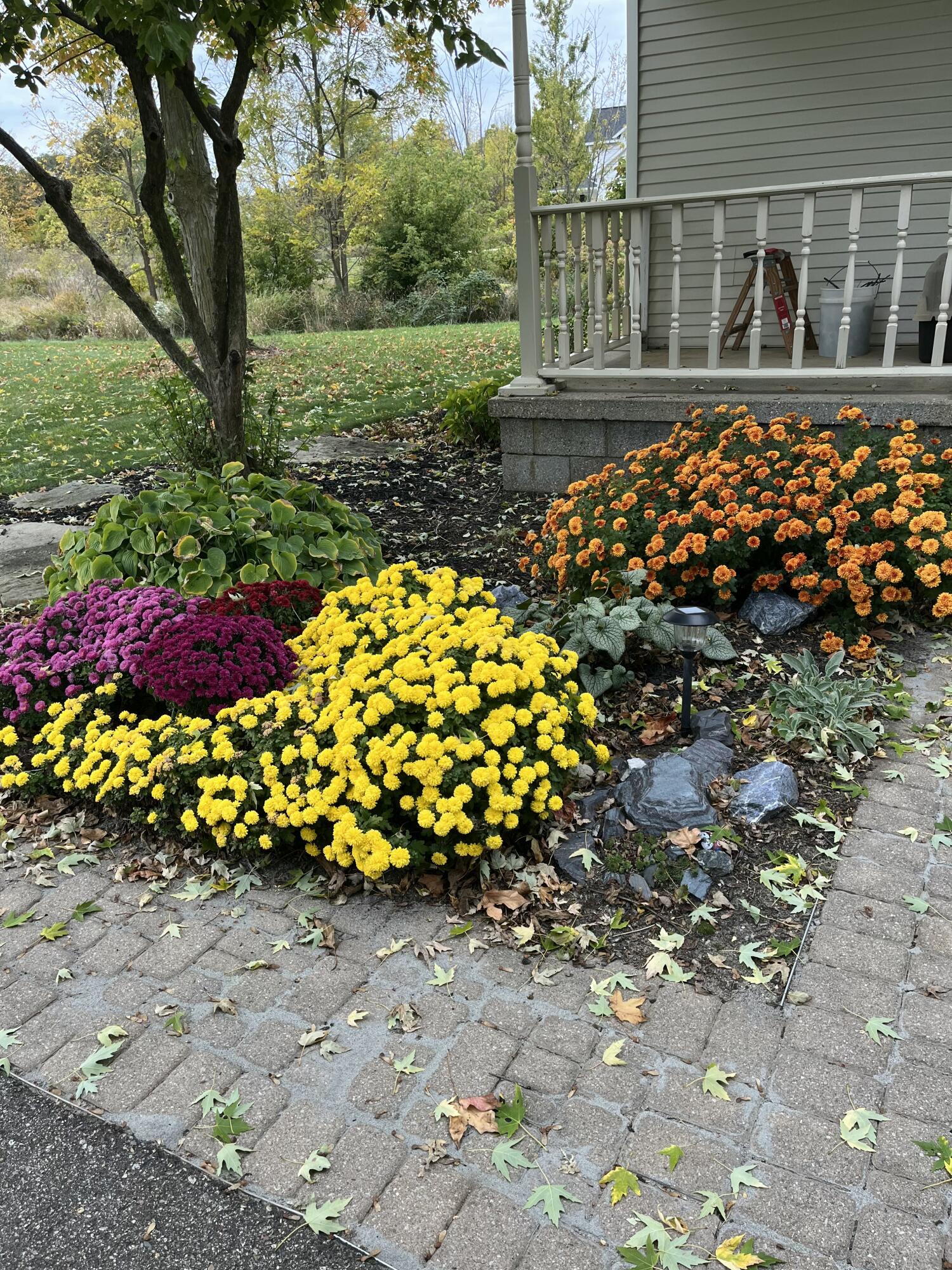 1991 Riley Street Hudsonville, MI 49426 - Photo 54 of 55 IMG_2668