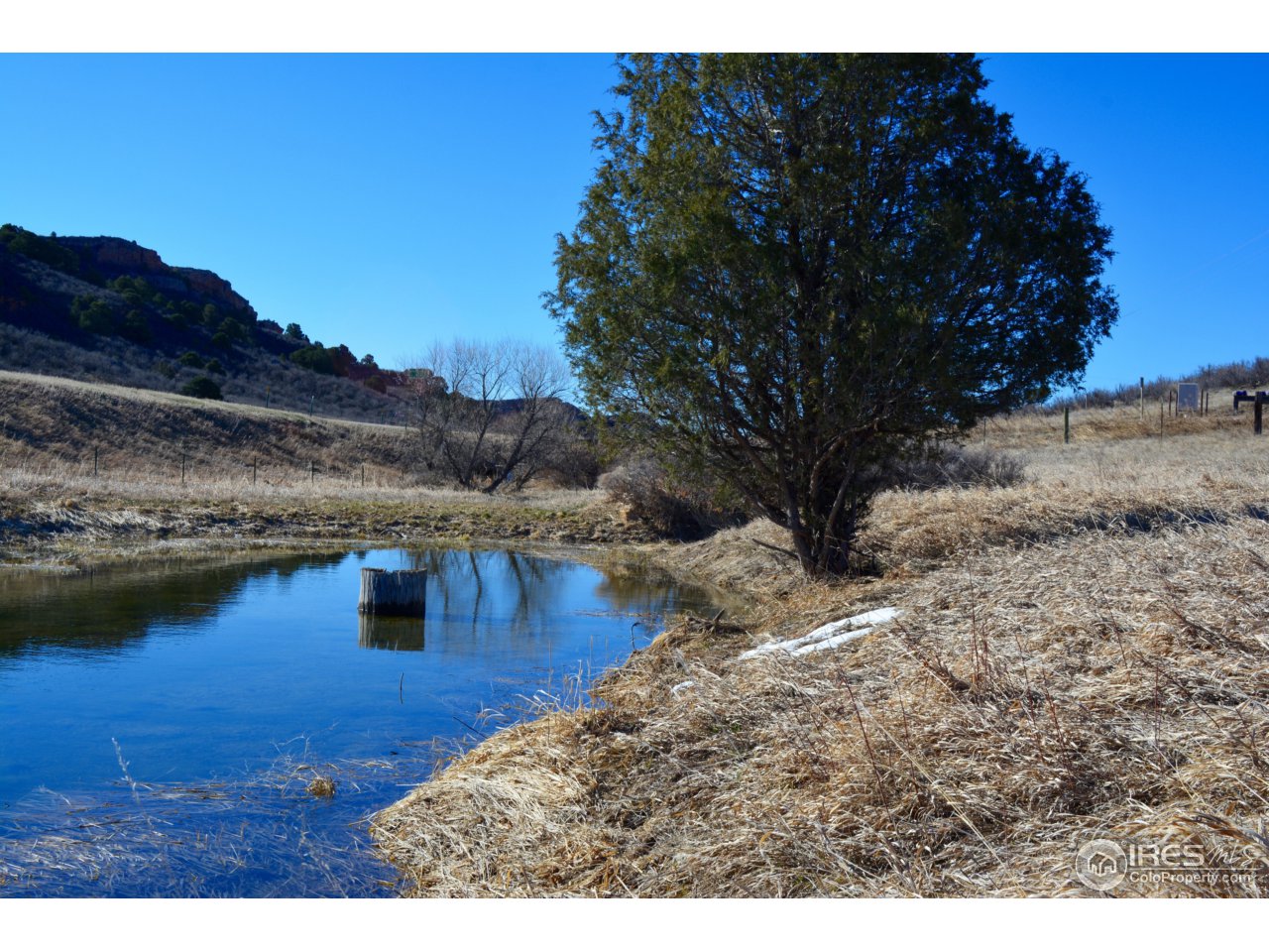 0 Ranch Springs Laporte, CO 80535 - Photo 1 of 19 Gallery Image 1