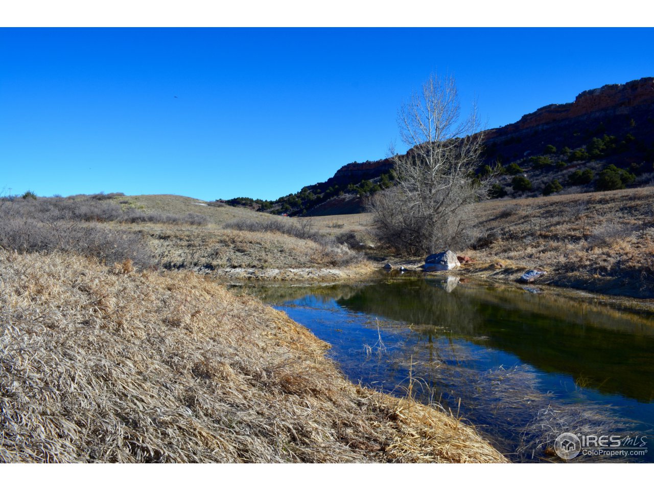0 Ranch Springs Laporte, CO 80535 - Photo 8 of 19 Gallery Image 8