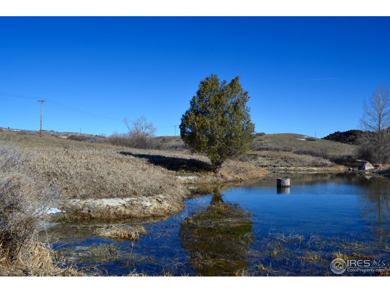 0 Ranch Springs Laporte, CO 80535 - Photo 9 of 19 Gallery Image 9