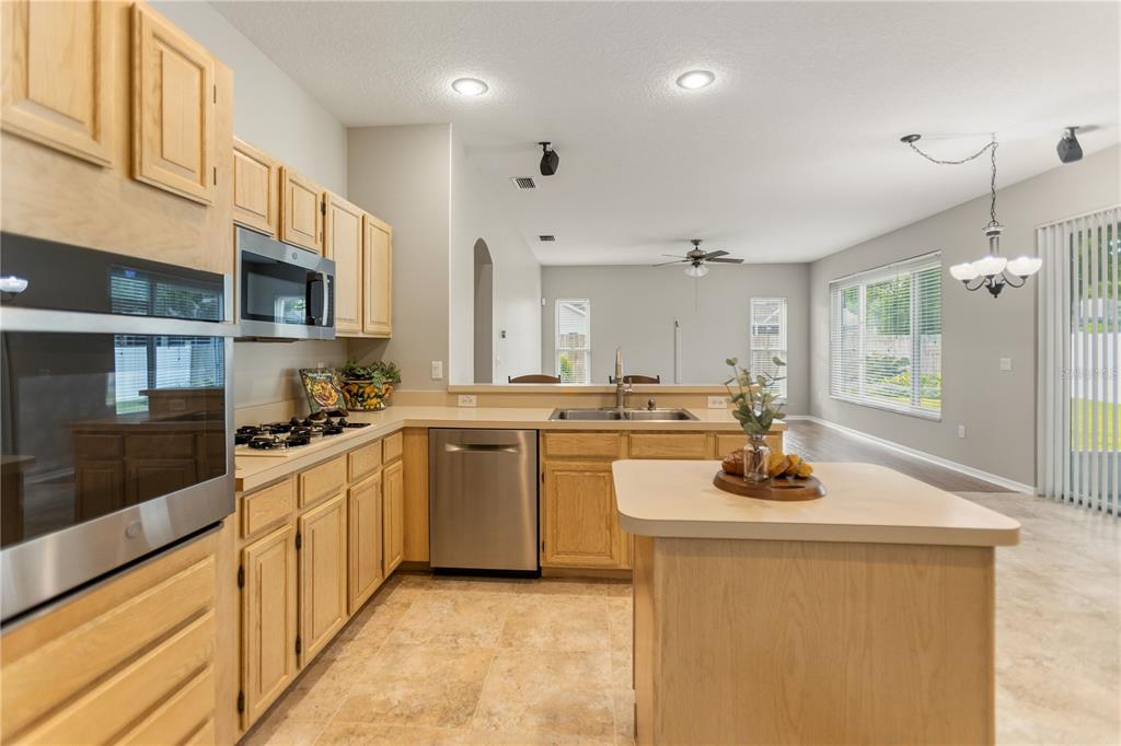 28402 Openfield Loop Wesley Chapel, FL 33543 - Photo 18 of 55 Gallery Image 18
