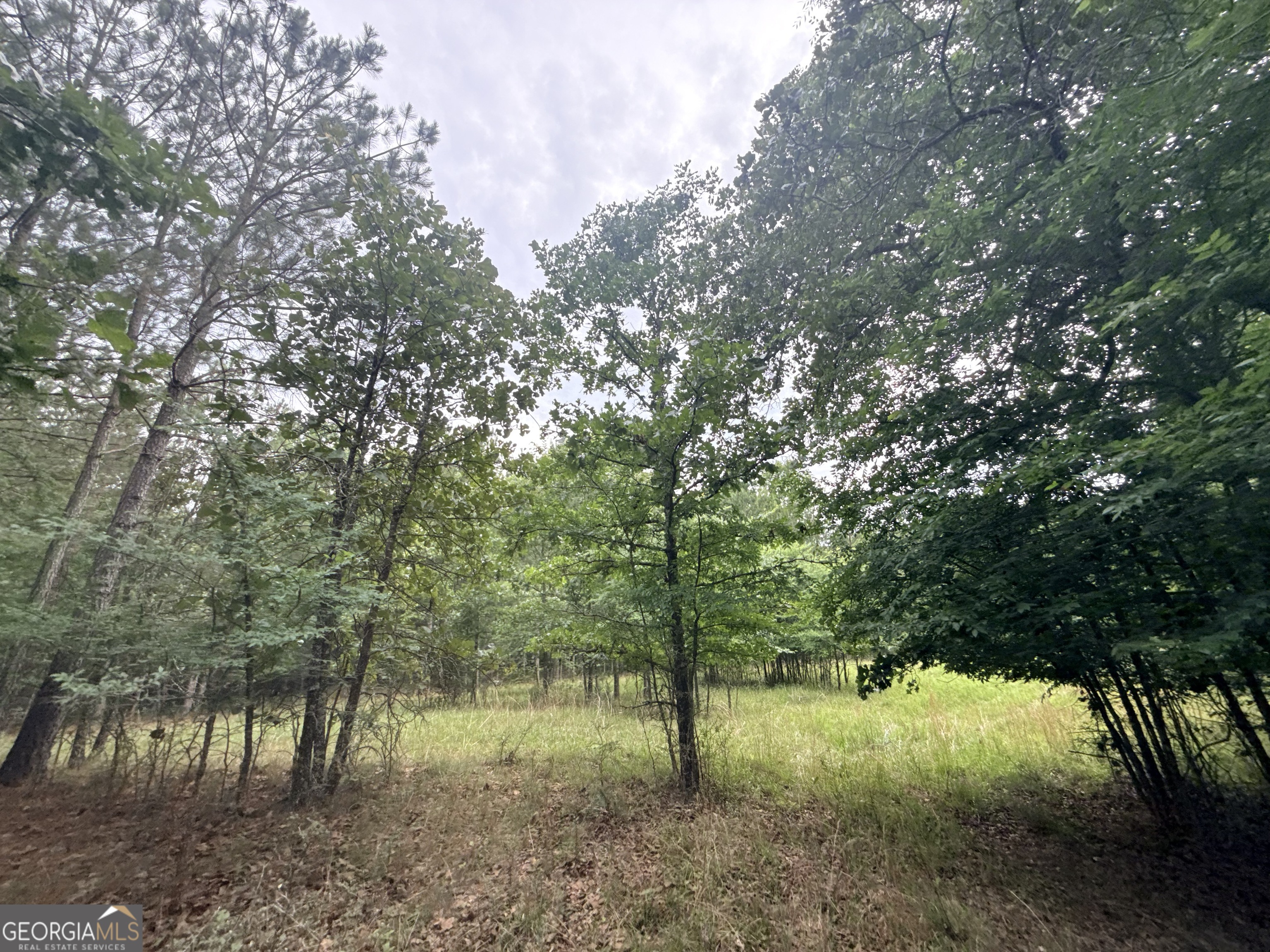3 Bethesda Church Road Lexington, GA 30648 - Photo 2 of 60