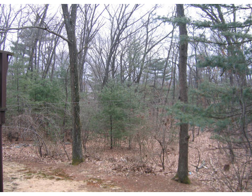 134 Forest Street Reading, MA 01867 - Photo 2 of 5 Gallery Image 2