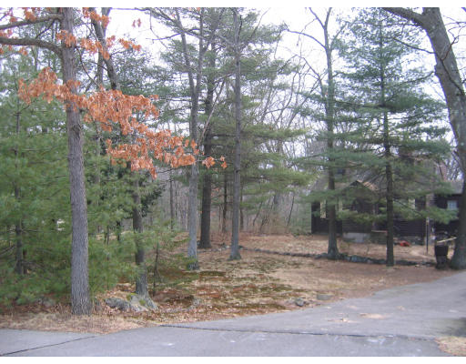 134 Forest Street Reading, MA 01867 - Photo 4 of 5 Gallery Image 4