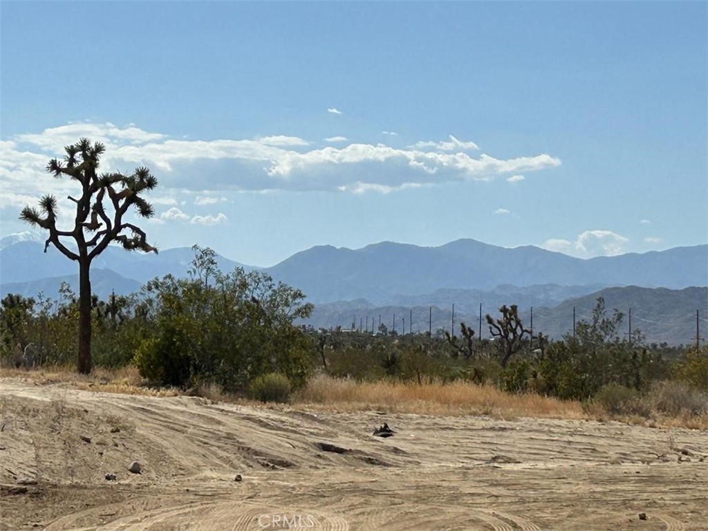 7374 Olympic Road Joshua Tree, CA 92252 - Photo 27 of 27