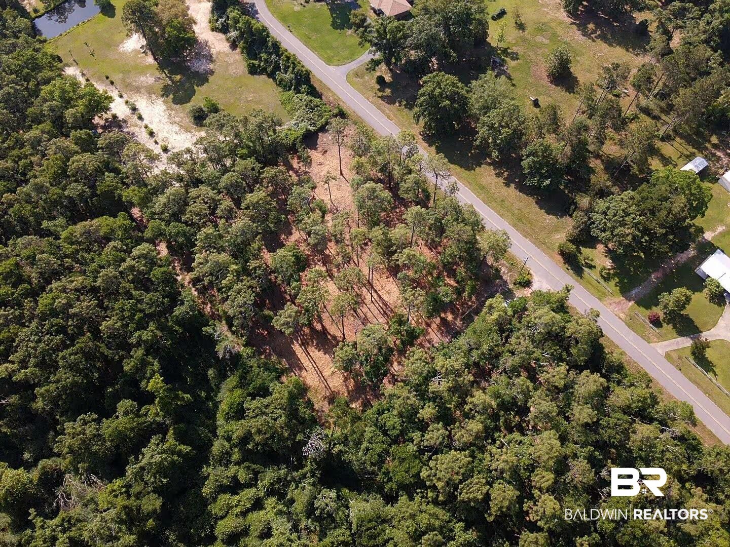 0 Antietam Road Lillian, AL 36549 - Photo 6 of 32