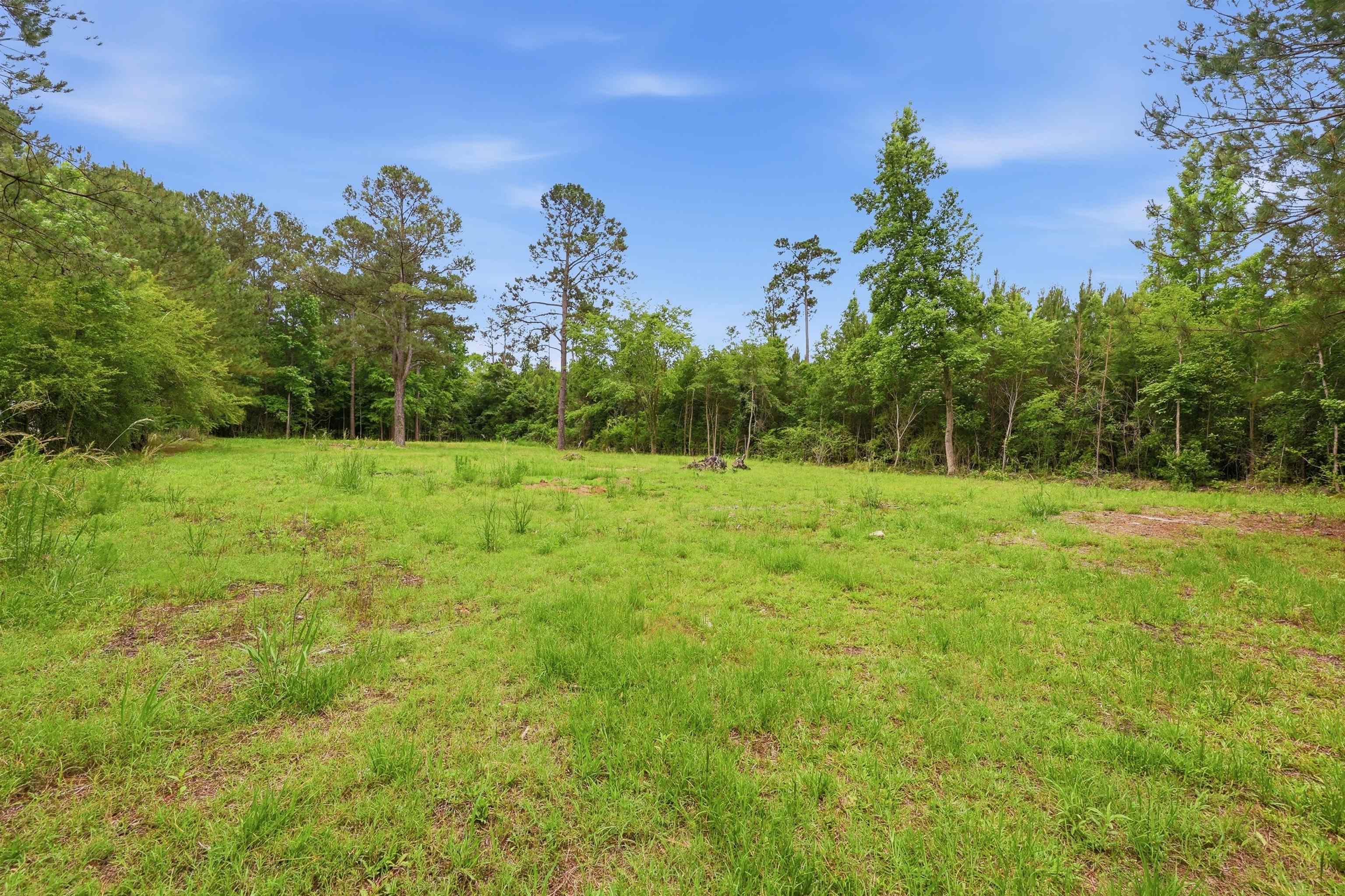 125 Old Groves Lane Conway, SC 29526 - Photo 3 of 11