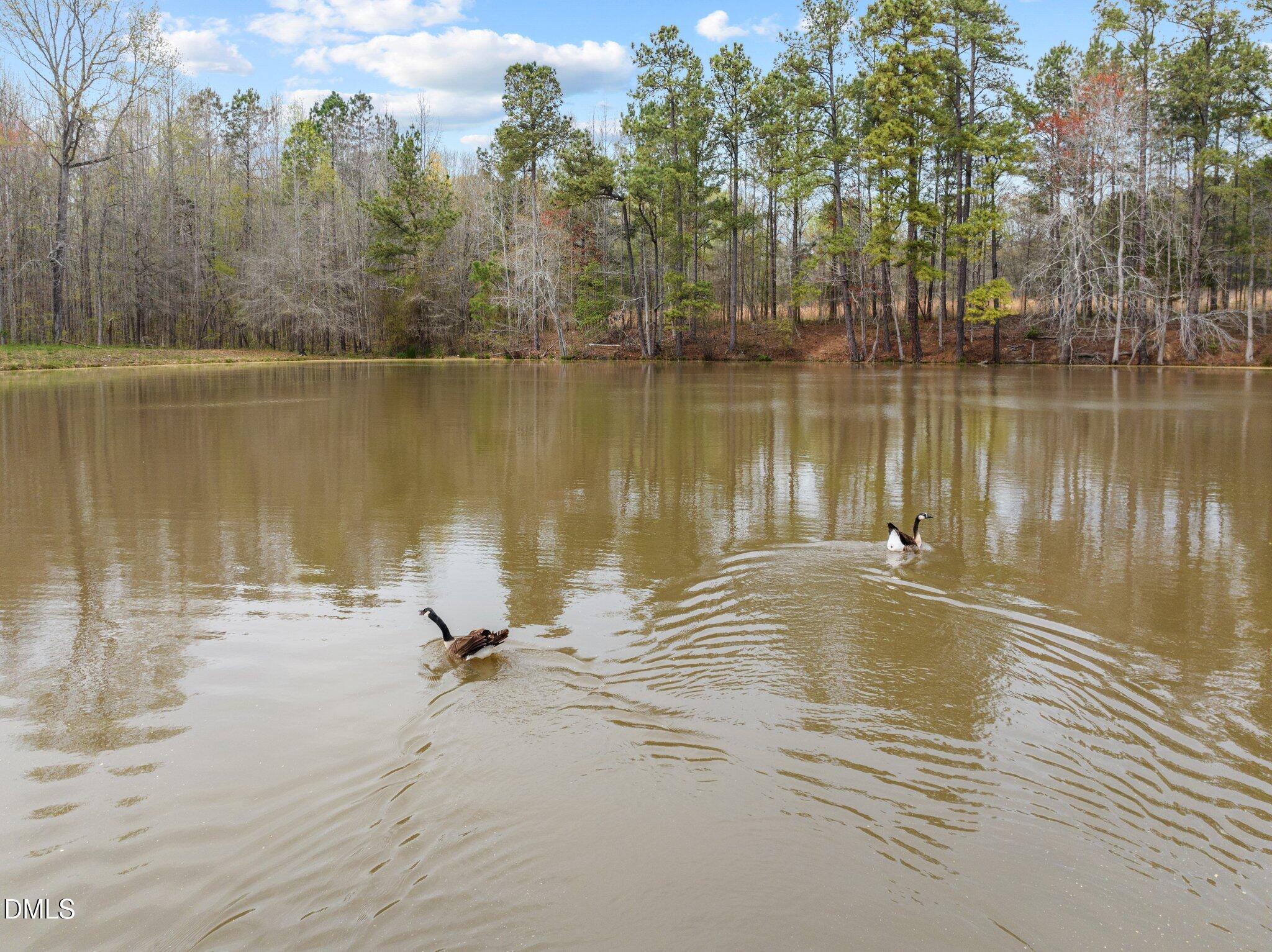 154 Hoyle Lane Henderson, NC 27537 - Photo 16 of 51 49-web-or-mls-DJI_0527 - Copy