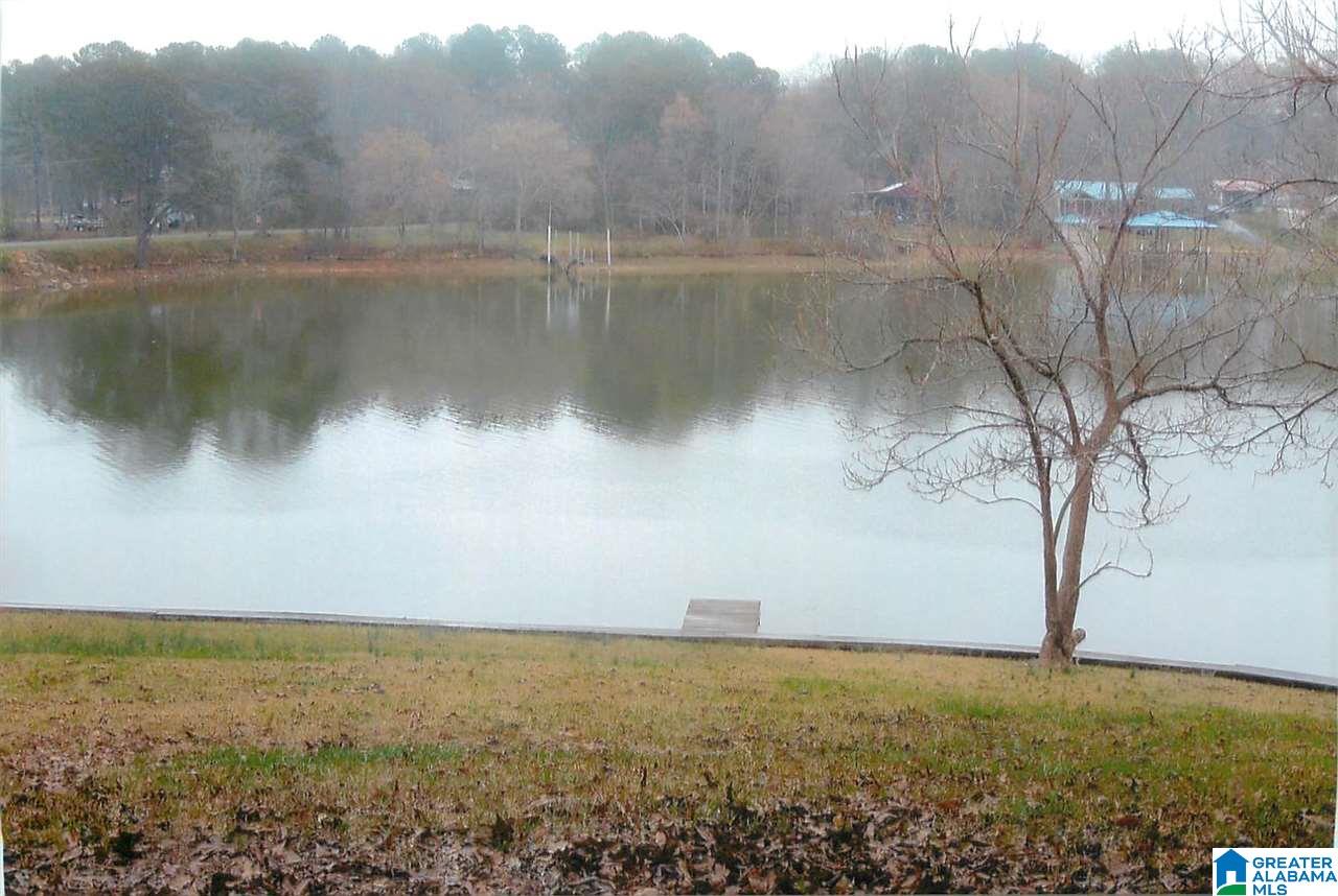 286 Treadwell Island Road Vincent, AL 35178 - Photo 5 of 24