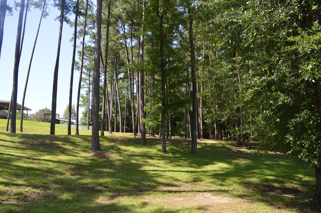 442 Ginntown Road Tylertown, MS 39667 - Photo 11 of 37 Photo 11