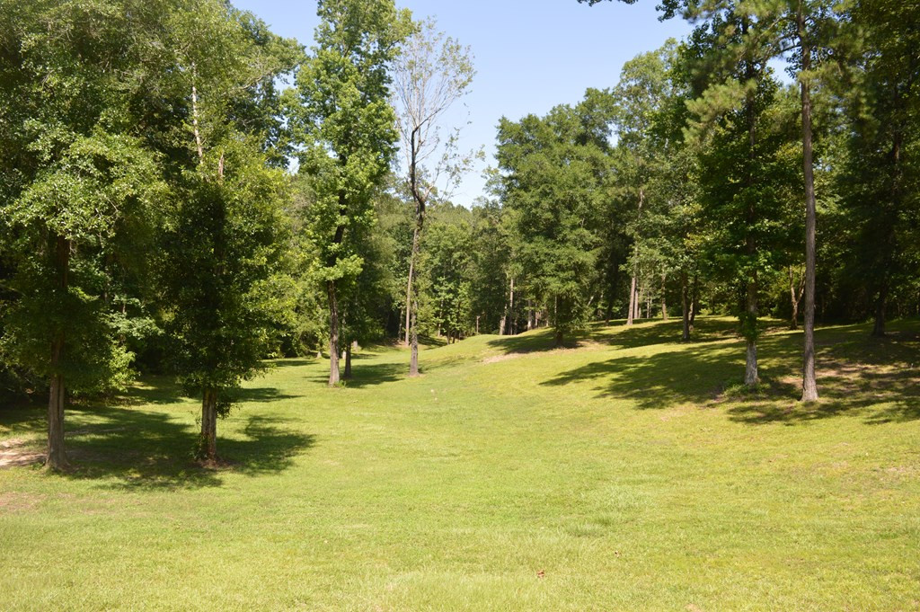 442 Ginntown Road Tylertown, MS 39667 - Photo 12 of 37 Photo 12