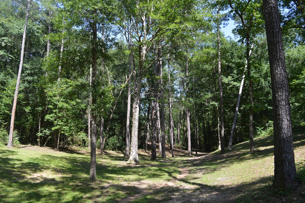 442 Ginntown Road Tylertown, MS 39667 - Photo 13 of 37 Photo 13