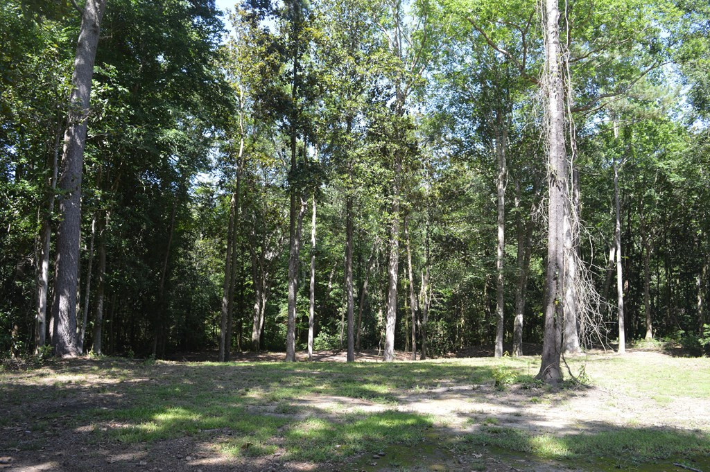 442 Ginntown Road Tylertown, MS 39667 - Photo 15 of 37 Photo 15