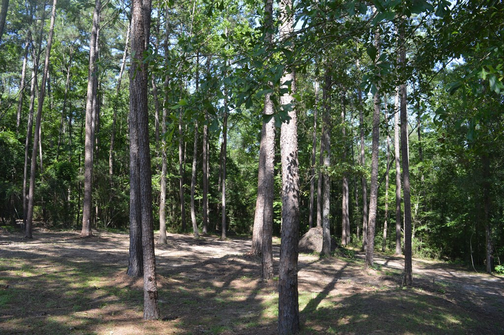 442 Ginntown Road Tylertown, MS 39667 - Photo 21 of 37 Photo 21
